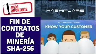 HASHFLARE UPDATE (cese  del servicio de miner&iacute;a contratos SHA-256)