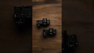 Z5 II vs Z6 III - Tough Choice, Real Talk