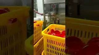 oil bottles 20L filling capping machine tracking type capper