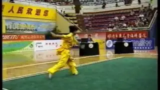 The 9th National Games of China was a multi-sport event WEIJINA 002