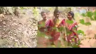Amla Hajong gaon