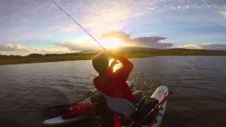 DAVE SCADDEN'S SWITCHBLADE STILLWATER