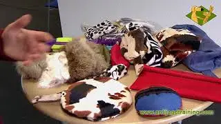 Futterbeutel - was gibt es f&uuml;r Varianten?