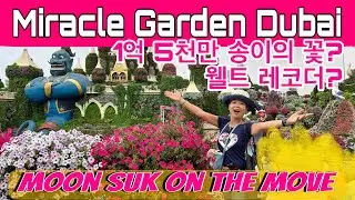 Miracle Garden Dubai #미라클가든두바이 #garden #dubai #vlog #travel #flowers