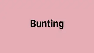 'Bunting' Meaning and Pronunciation
