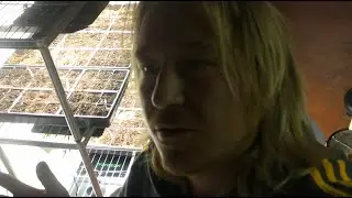 DIY Seed Starting Shelf with Vivo Sun Grow Lights