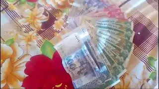 mashallah lot of money with saving pot