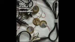 DFAP - Second section