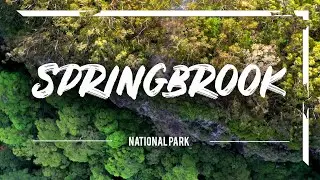 EXPLORING SPRINGBROOK NATIONAL PARK QUEENSLAND | Close to Gold Coast Vlog