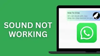 How to Fix Sound Not Working on WhatsApp PC