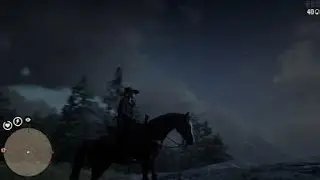 Red Dead Redemption 2 Online: One Bug Found
