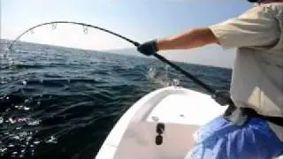 Big GT Epic - Southern Oman (Luke Ryan)