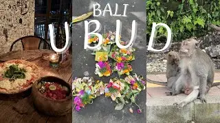 Viaje a Bali, Indonesia🇲🇨🌺🐠🌴🐒✨ ~UBUD~ #2025 {#Vlog 1}