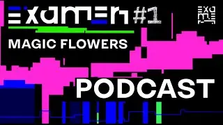 EXAMEN #1 Подкаст Magic Flowers vs Nolimit Production об электронной музыке и не только