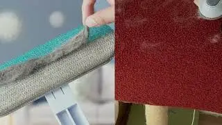 Magic Pet Hair Remover &ndash; Clean Carpets Fast!✨#Dog#Dogs#DogLover
