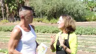 Omega 3 and 6 Fats