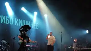 NAVAI - Птичка Кишинёв 01.12.2025