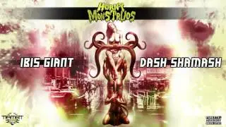 Ibis Giant & Dash Shamash - Don&acute;t begin
