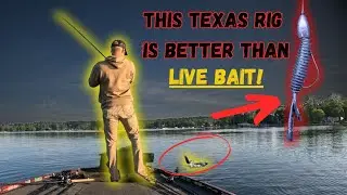 How To Find Bass In ENDLESS GRASS This Summer!
