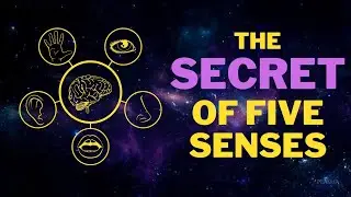 The Secret of Five Senses | The Nature Of Reality