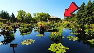 Botanic Gardens Denver Amazing Full Tour