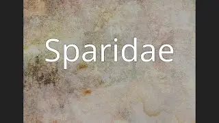 Sparidae