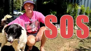 Emergency Trip To Try Save Panda's Life