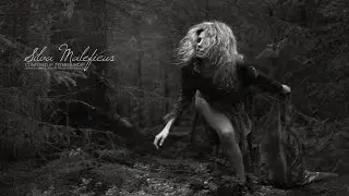 Dark Magic Music - Silva Maleficus