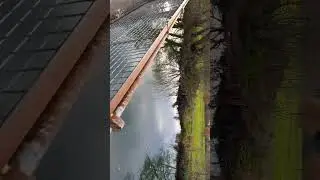 French wier Park in taunton