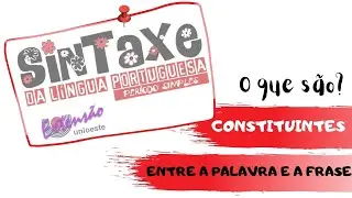 CONSTITUINTES - o que s&atilde;o?