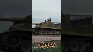 #shorts Highlights from Tiger Day Spring 2023