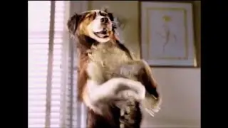 Kibbles 'N Bits - Dance (2003, USA)