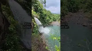 embrace the nature