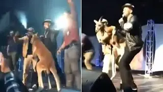 Mike Epps Faces Backlash After Bringing Live Kangaroo On Stage