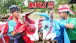 BATTLE BANTENG MERAH VS BANTENGAN SAPI BIRU SAMPAI MBEROT Dj jangan tunggu lama-lama