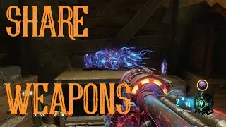 Revelations - How To Store & Share Weapons
