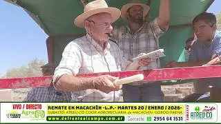 REMATE de ATREU-CÓ - ESPECIAL GORDO - FAENA -  MARTES 20 / ENERO / 2026 - MACACHÍN -L.P.-