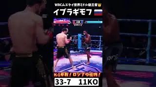 K-1参戦！ロシアの怪物イブラギモフ！ #mma #k1wgp #boxing #格闘技 #shorts