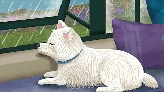 Relax Your Dog with Rain & Nature Sounds | Help Stop Barking!