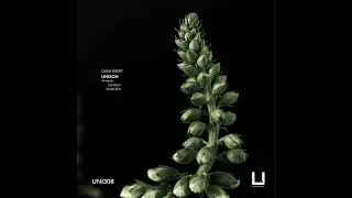 Dani Sbert - Unison (Juheun Remix) [UNITY RECORDS]