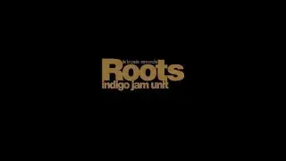 Indigo Jam Unit - Silhouette