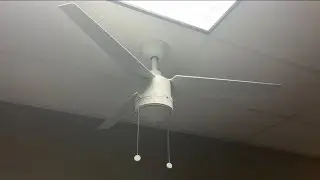 Fanimation PCDC Ceiling Fan