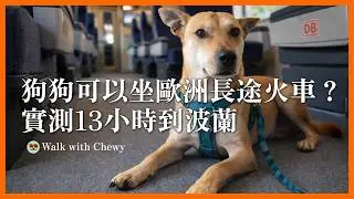 帶狗狗坐寵物友善的歐洲火車到波蘭！坐6小時以上的長途火車狗狗可以嗎？