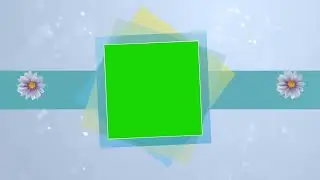 Free Green Screen Video Background | Green Screen Wedding Background for Wedding Projects