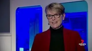 NATA CEO Jennifer Evans speaking to 7NEWS Sydney about COVID19 Accredited Labs
