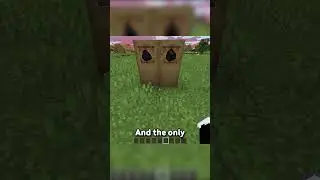 WHY NO CHARCOAL BLOCKS-