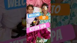 KITTEN SPA 🍹☀️#kitten #shorts