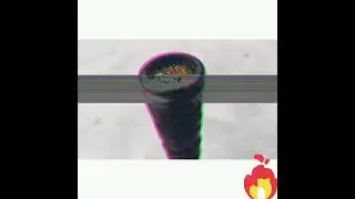 Ganja Status 🔥