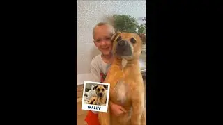 Чувствуя все эмоции | Budsies&copy; и Petsies&copy;