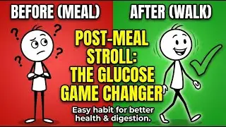 ( Blood Sugar Control )The Best Time to Walk for Blood Sugar Control